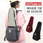 에어로폰 패션가방 롤랜드 전자 색소폰  Aerophone AE-10/AE-20/AE-30 : HDC 영창뮤직 청주대리점