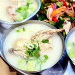 등마루 닭한마리 : 등마루닭한마리