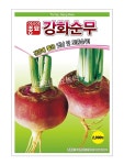 순무 토종순무 종자 무우 씨 아시아종묘 강화순무 2000립 김장 김치 씨앗 텃밭 모종 : 허수아비정원