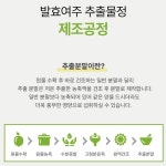 락토테미 발효여주 추출물정 여주추출물 플란타김치유산균발효 60정 3박스 : 뉴닥터오케이