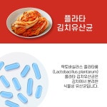 락토테미 홍국 발효 구기자 추출물 구기자추출물 분말 가루 파우더 200g : 뉴닥터오케이