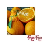 명광성푸드 날마다과일나라 한라봉 : 유대소리