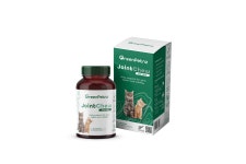 (국내발송) 뉴질랜드 그린펫엔젯 조인트츄 고양이 영양제 60정 고양이 관절영양제 초록입홍합 글루코사민 : 그린펫엔젯코리아