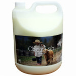 KPI 강아지용 체리쉬 전견용 린스 4L 1개 : 월드원