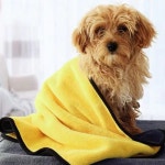 극세사 강아지목욕수건 빠른물기제거 개샤워타월 : 꿈의만물상