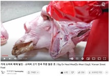 마장동 용궁축산 국내산 한우 소머리 (암소) 한마리 - 머리뼈 포함 : 렛츠미트