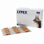벳플러스 겸용 영양제 라이펙스 캡슐형 60p 위·장·소화·변냄새 칼슘 1개 : 월드원