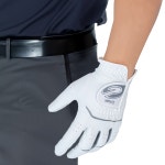 지맥스 뉴반 양피 5세대 남성골프장갑 오른손 골프장갑 파크 19075M : 콩앤빈