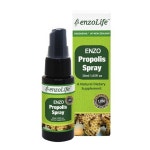 엔조 프로폴리스 스프레이 Propolis Spray 30ml : 백세누림