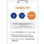 엔젯오리진 뉴질랜드 프로폴리스 아연 30캡슐 x 2개 그린프로폴리스 : 미섬스토어