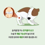 나우펫 관절 : 건강터