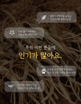 약초인 도라지청 기침에좋은 약 도라지 도라지진액 650g : 제이앤지커머스