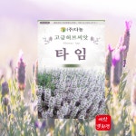 고급허브씨앗   타임 허브씨앗 타임하브종자  1000립 : 농사의신 씨앗백화점