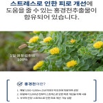 L-테아닌 긴장완화 집중력강화 공부할때 굿데이 테아닌 로디올라 x 30정(1개월분) : 라이프메딕스