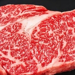 정육점 축산 미트 소고기 안심 등심 스테이크 식당 파르텔 벽지 시트지 롤스크린 : 으뜸데코