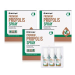 프로폴리스 스프레이 뉴질랜드 원액 그린 엔젯오리진 (15ml x 3개입) 3세트 : 미섬스토어