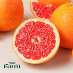 트릿지팜 신규통관 레드자몽 1.5kg-4kg : 트릿지팜