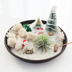 바니그라운드 스노우가든 테라리움 키트 겨울 크리스마스 원예 유치원 참여수업 청소년 시니어 : 바니그라운드