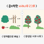 어린이집 사계절 환경판 주일학교 게시판 사과나무 : 덕분이 문방구