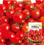 방울토마토씨앗 아케보노 토마토씨 종자 30립 : 농사의신 씨앗백화점