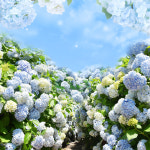 제주 더마파크+카멜리아힐 / 제주도 여행 카트 승마 공연 이색체험 데이트 실외관광지 : WEPICK