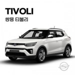 대구 쌍용 티볼리 모빌하임 프리미엄 자동차 엠보싱 바닥 장판 시공 : 노 블 레 스