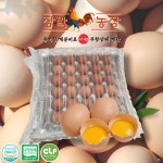 장락농장 무항생제 계란 특란 90구(30구x3판) : 장락농장