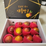 미니망고 애플망고 가정용  3kg : 오르조팜