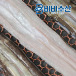 국내산 손질 자연산 남해 바다장어 1kg(소스2+생강) 아나고 붕장어 : 비비수산