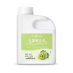 흥국에프엔비 맘스 리얼베이스 청포도 1kg 2개 : 비타상사