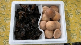 목이버섯 표고버섯 프리미엄 명절 선물세트 : 해누리몰