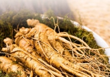 김소형 원방 홍삼 천마 진액 스틱 즙 엑기스 10gx30포 : 영앤용