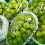 경북 샤인머스켓 가정용/프리미엄 500g+500g 부터~ : 트렌드잇샵