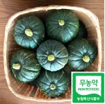 2025년산 무농약 미니밤호박 단호박 보우짱 4kg 5kg 10kg 친환경미니밤호박 : 농장 The 새로움