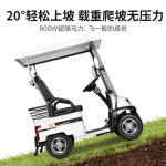 2인승 전동 골프 카트 농원 리조트 호텔 농장 과수원 : 굿매너샵