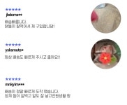 알곡이 굵은 닭사료 산란골드25kg 닭모이 닭먹이 산란닭 : 남양팜스