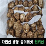 자연 송이버섯 냉동 송이 버섯 터키산 국산 능이 : 코리아재팬푸드