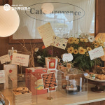 [강원] 철원투어패스 한탄강주상절리길 횃불전망대 국내여행지 당일치기여행 : 강원투어패스