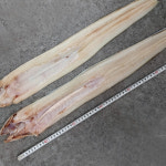 아라장 반건조 바다장어 300g(특대, 1마리) : 동명상회 공식몰