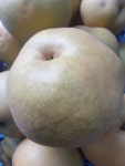 [영선농장]배즙 52포 : 영선농장