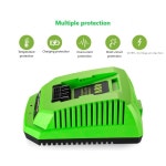 GreenWorks 29482G-MAX용 리튬 배터리 충전기 40V 이온 29472 29482 29652 G40825 EU 플매트 카펫 러그 : 메인1호점