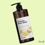 메디레머디 올데이 데오르 퍼퓸 바디워시 일랑일랑향 1000ml × 1개 : 블리스하이
