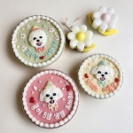 강아지 생일케이크 수제 미니컵케이크 9cm 고구마시트 : 치치까까