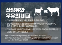 CNB 프리미엄 산양유 밸런스 180정 x 2개 초유단백질 : 미섬스토어