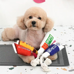 패리스독 퍼니 튜브 로프토이(종류임의) 강아지 장난감 : 코지캣독