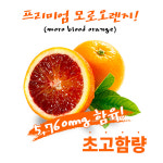 네이처바인 락토페린 모로오렌지 3000mg x 60정 : 선인라이프