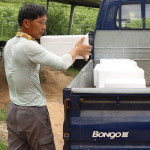 GAP 인증 영암 달을품은  청무화과 : 자연부부농원