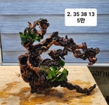 2번 유목 35 38 13 : 아쿠아킹