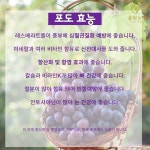 [율현농장] 거봉 2Kg 달콤한 과즙 가득 거봉 포도 : 율현농장