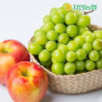 경산자인농협 설 과일 선물세트 4종 사과/배/샤인머스켓 : 자인농업협동조합